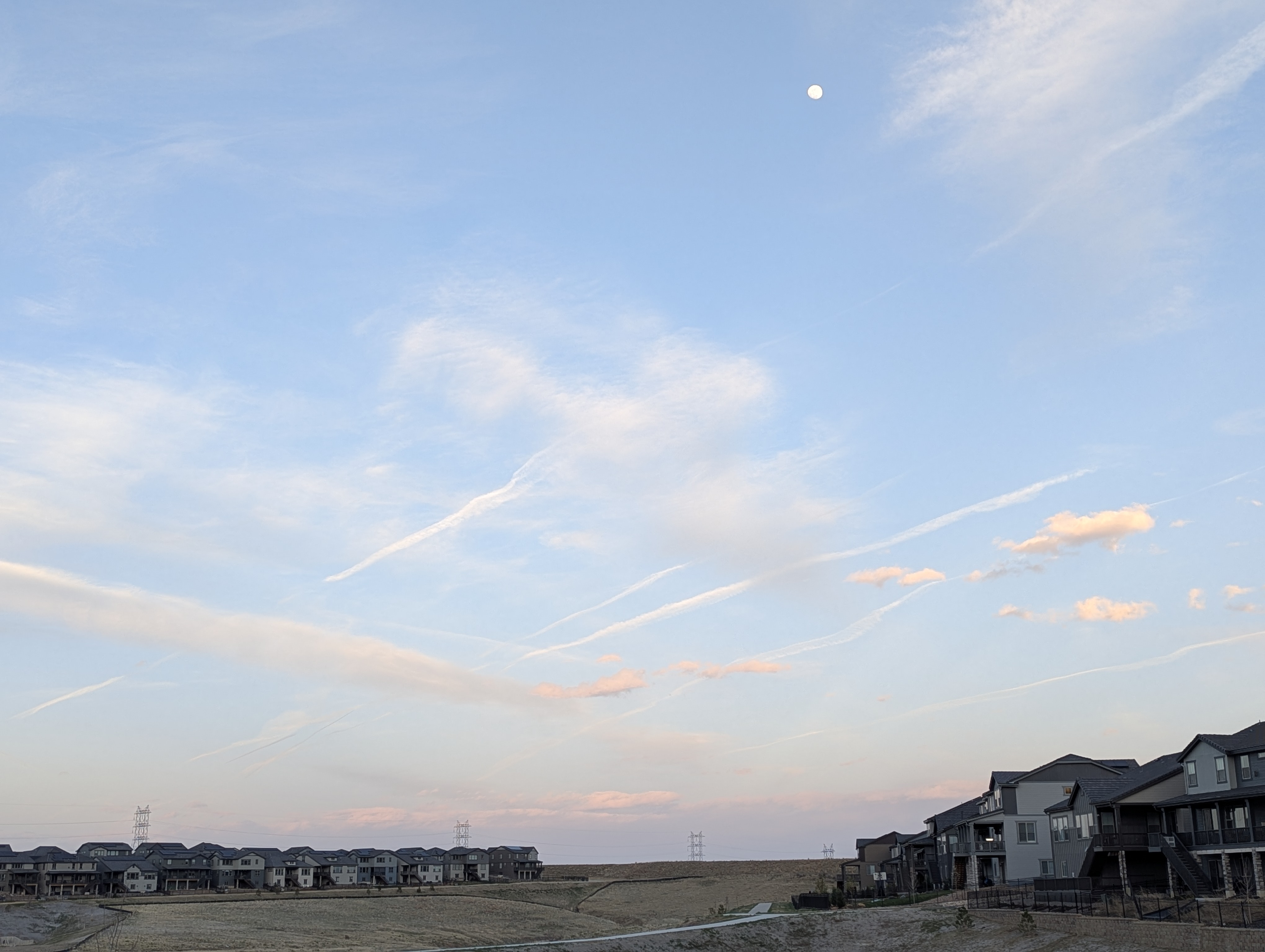 Garden, Flowers, Morrison, Colorado